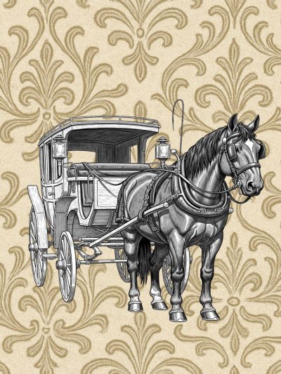 Pferdetechnik & Reitkultur